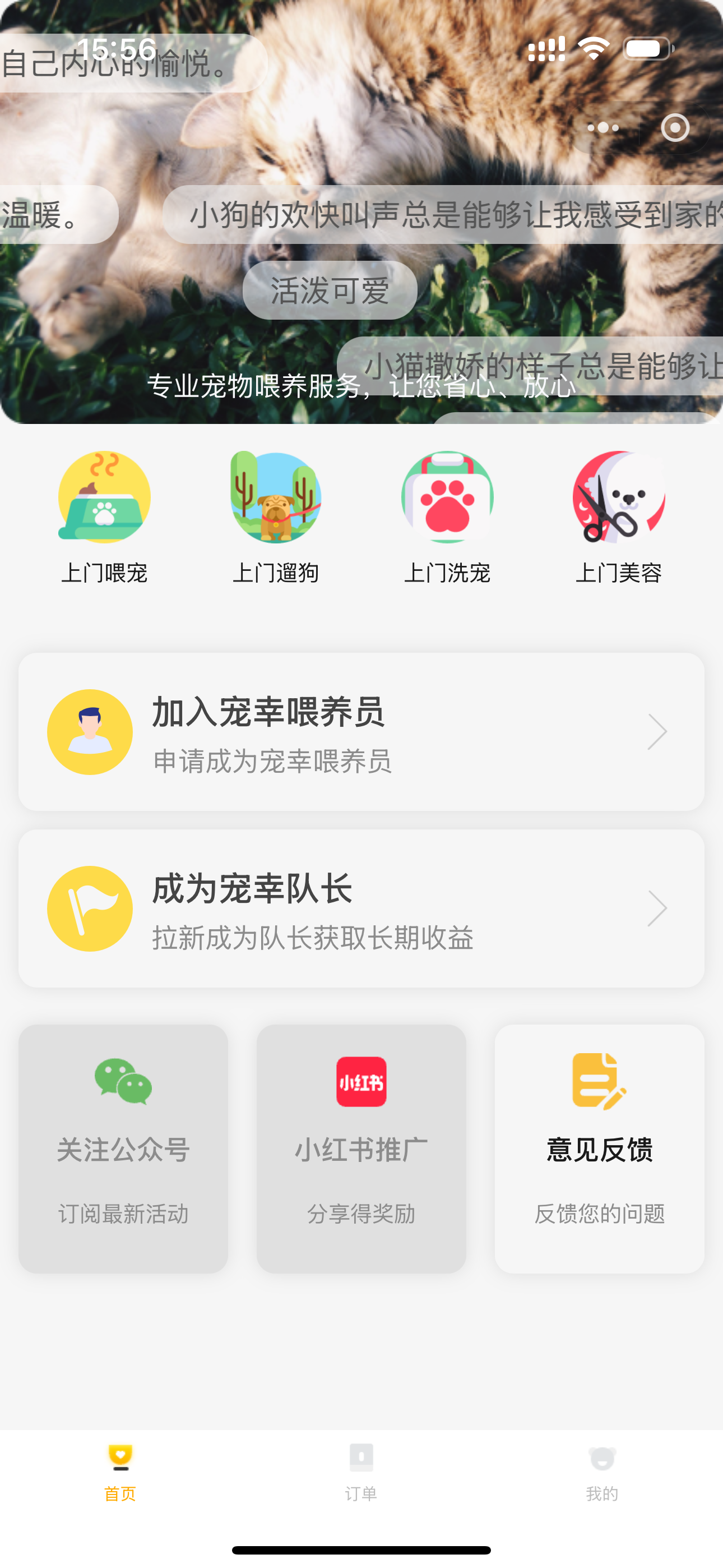 宠幸应用首页截图